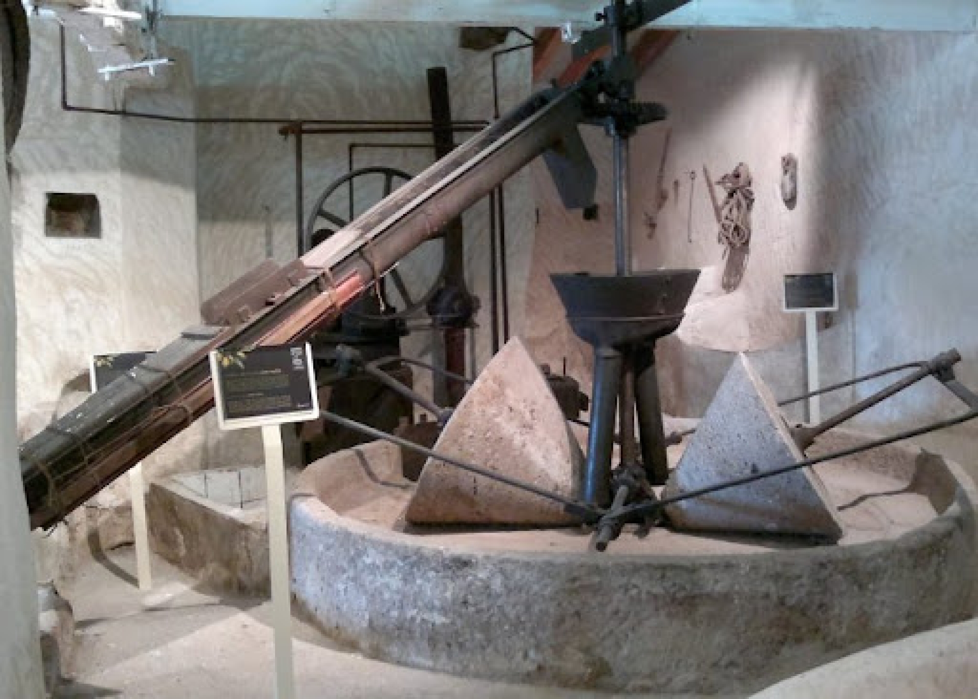 Tour Aceites de Alicante y Museo Didáctico del Aceite “La Almazara