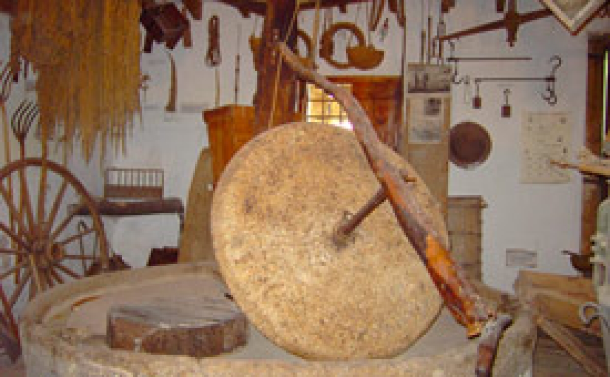 Torres de la Huerta, Visita a Almazara del año 1699 en Alicante y almuerzo alicantino en medio de la naturaleza