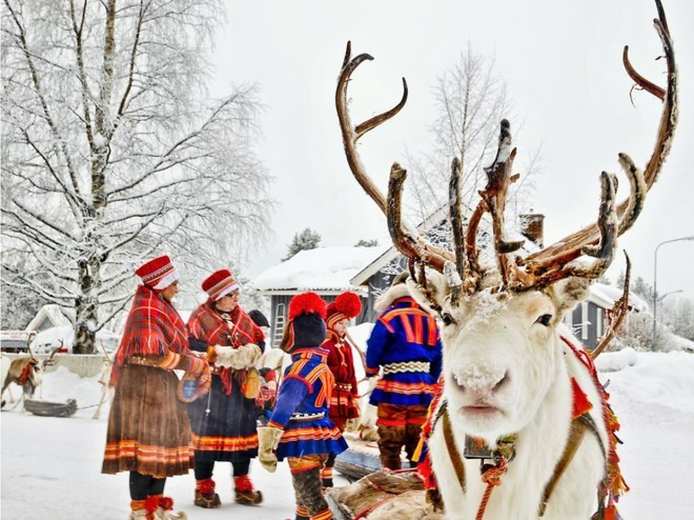Expedición Auroras Boreales Suecia