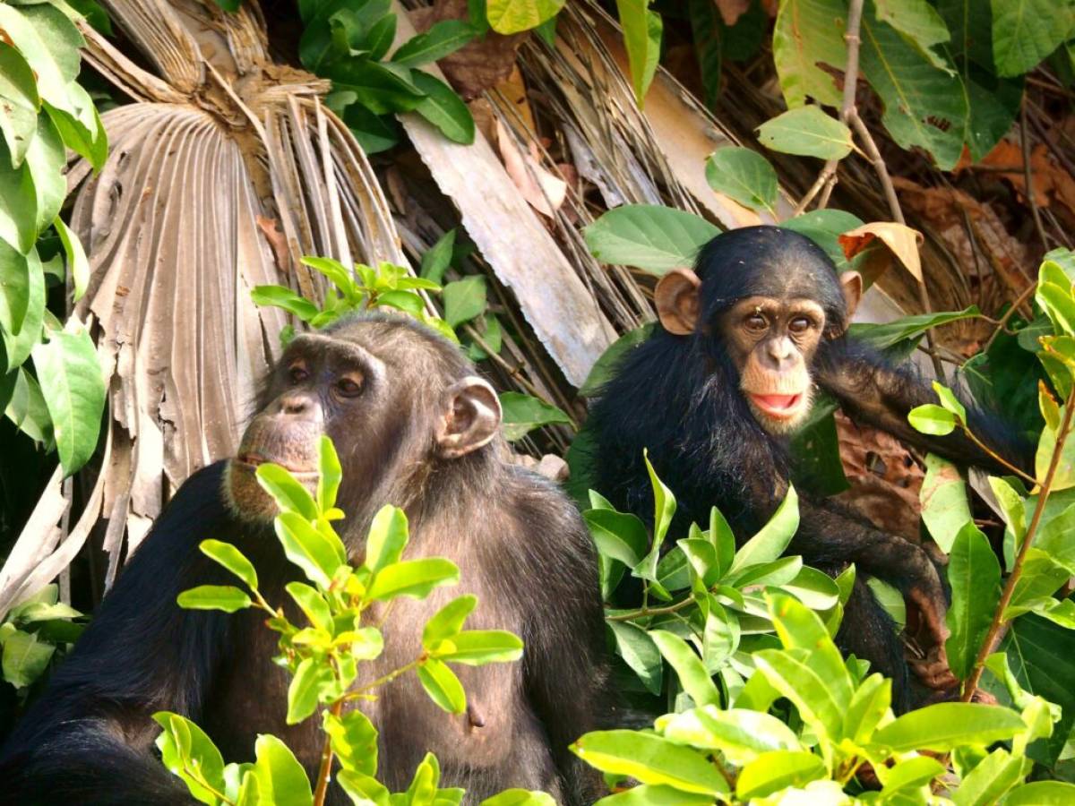 Uganda, especial Semana Santa salida 22 Marzo