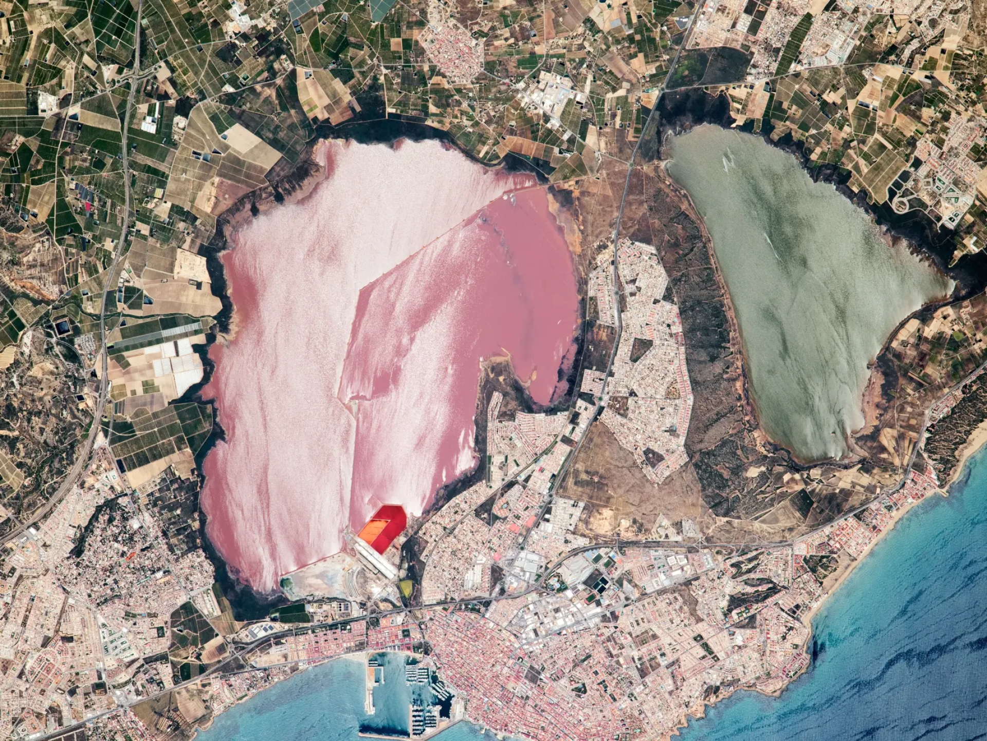 Tour en bicicleta Salinas de la Mata y la Laguna Rosa de Torrevieja con aperitivo tradicional