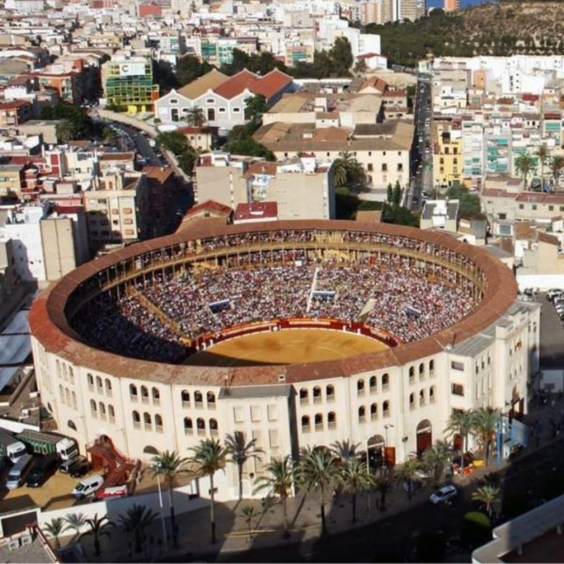 Viva España en Alicante! Plaza de toros, Flamenco y showcooking de arroces alicantinos