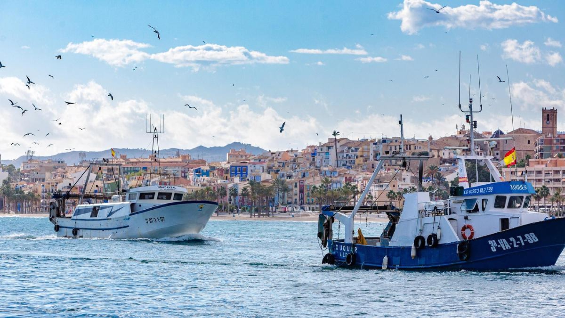 Ruta de Caladeros de pesca Alicante y degustación de caldero de peix